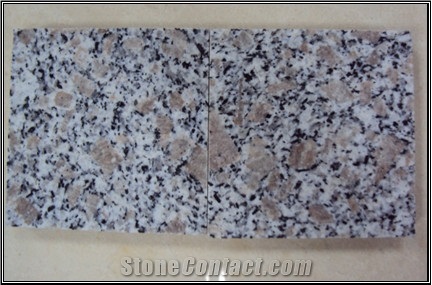 Popular and Hot Chinese G383 Granite Tiles & Slabs with Pretty Competitive Price