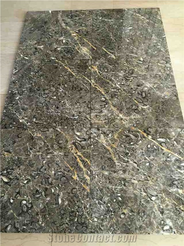 Persian Grey Marinace