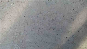 Shell Stone Limestone Tiles & Slabs, Beige Polished Limestone Flooring Tiles, Walling Tiles Shell Stone Limestone Tiles & Slabs, Beige Polished Limestone Flooring Tiles, Walling Tiles