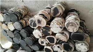 Petrified Wood Coasters