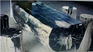 Petrified Wood Log Table and Stool