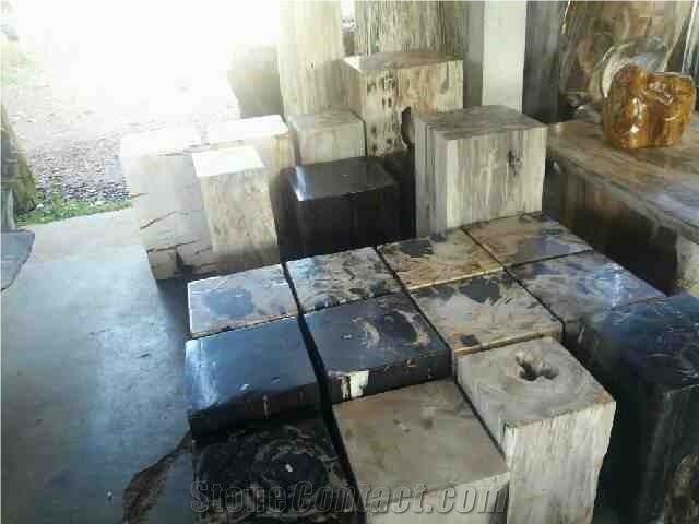 Petrified Wood Stone Sinks, Basins