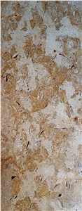 Fossil Shell Stone, Coral Stone