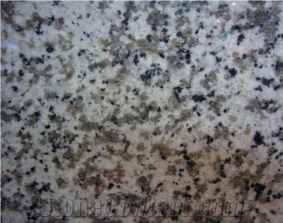 G439 White Granite,Big White Flower Granite Top