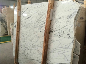 Arabescato Carrara White Marble Slabs & Tiles