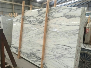 Arabescato Carrara White Marble Slabs & Tiles