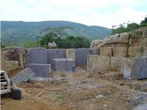 Negro Caracol Marble Blocks