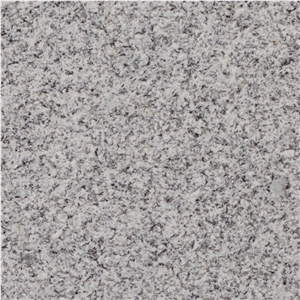Branco Micaela Granite Slabs & Tiles