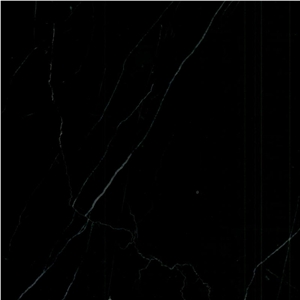 Absolute Black Marble Tile