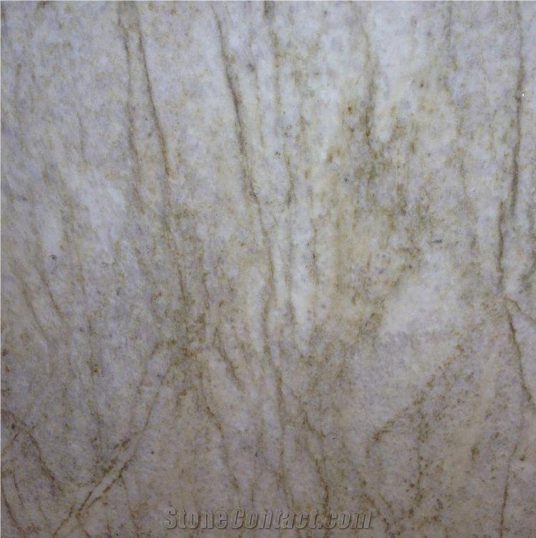 Acqua Venato Quartzite Tile