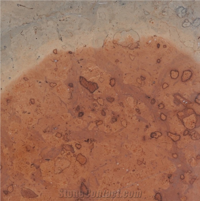 Adneter Eisenmann Tile