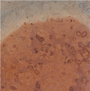 Adneter Eisenmann Tile