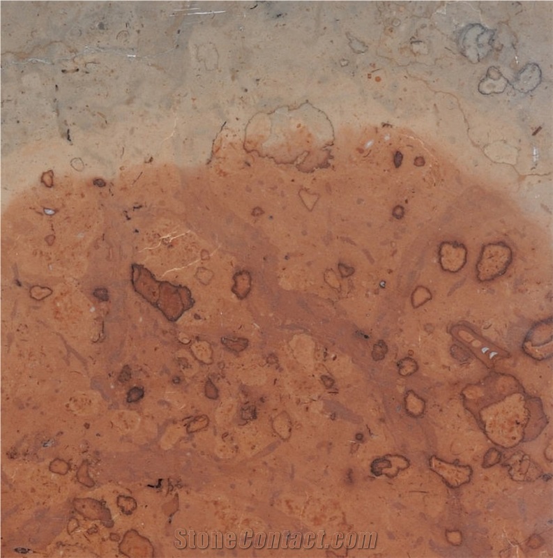 Adneter Eisenmann Tile