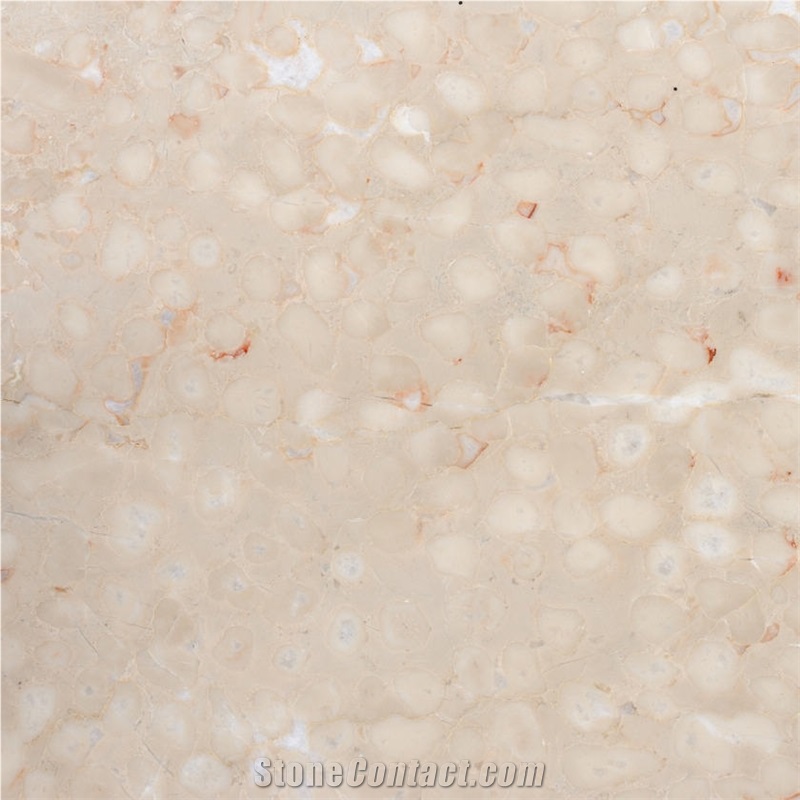 Adneter Hell Tropf Tile