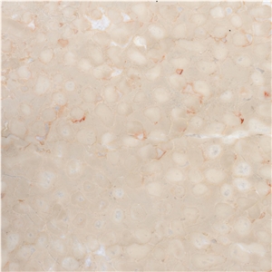 Adneter Hell Tropf Tile