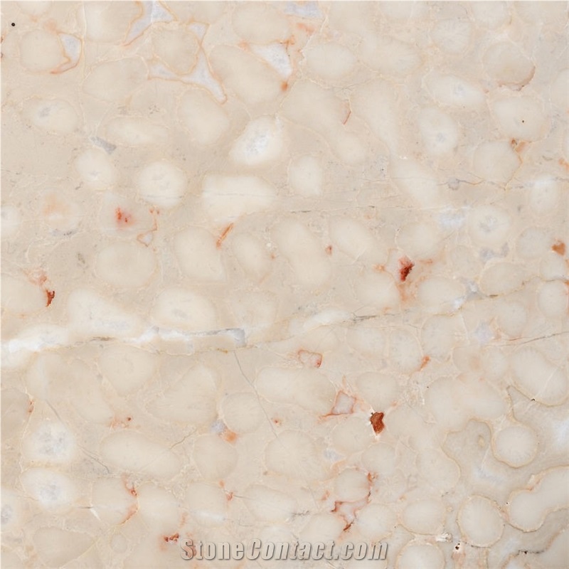 Adneter Hell Tropf Tile