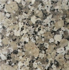 Adonis Flower Granite