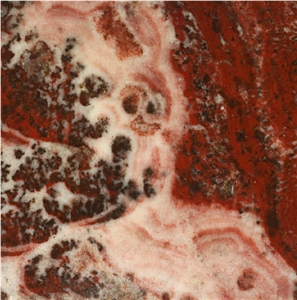 Alabastro a Pecorella Tile