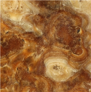 Alabastro a Tartaruga Tile