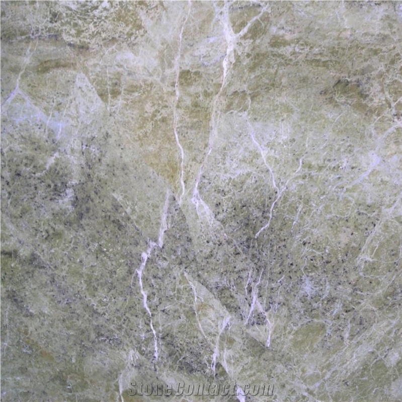 Alga Green Quartzite importance=