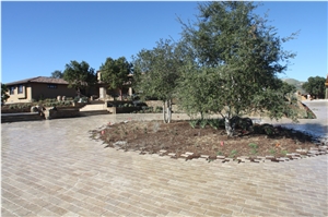 Alpaca Travertine Finished Product
