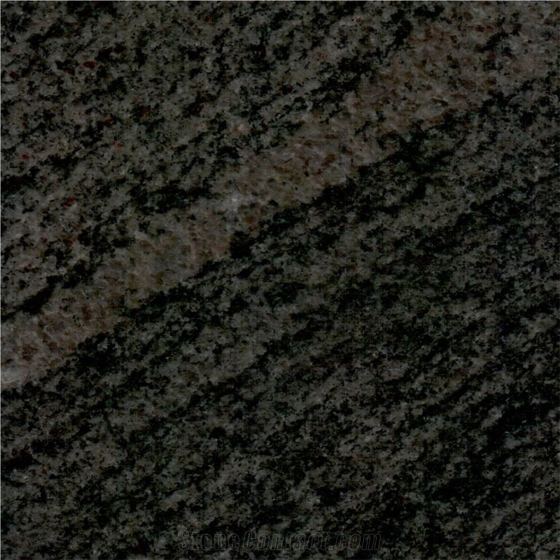 Altamira Gneiss Tile