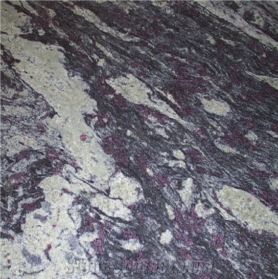 Amadeus Tile