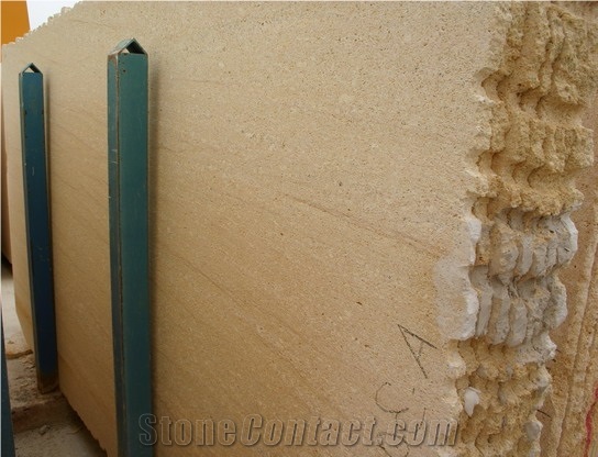 Amarillo Fosil Slab