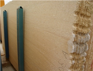 Amarillo Fosil Slab