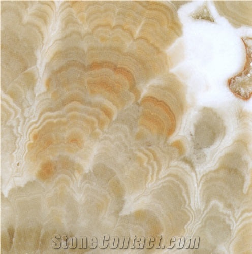 Amber Onyx importance=