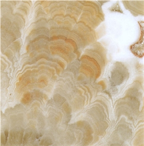 Amber Onyx