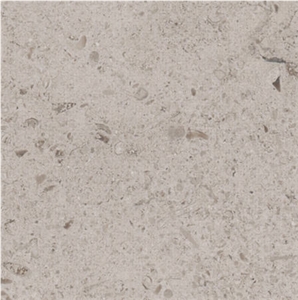 Amelas Fossil Limestone
