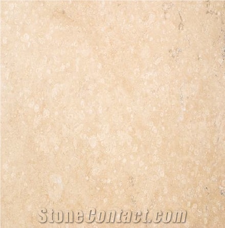 Andino Travertine importance=
