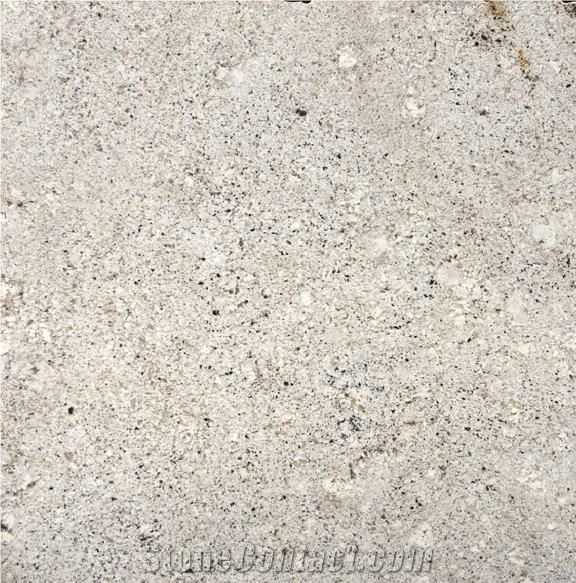 Andino White Granite Tile