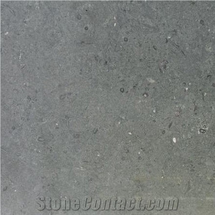 Anrochter Limestone Tile