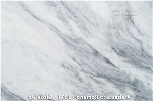 Arabescato Romano Quartzite Slab