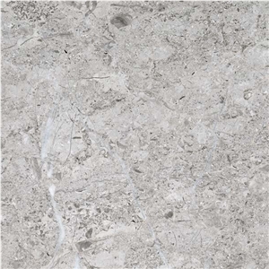 Arctic Silver Limestone