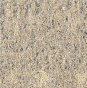 Arda Grey Gneiss