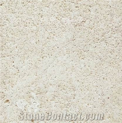 Arenisca Fossil Pearl importance=
