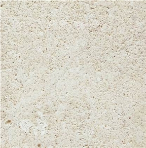 Arenisca Fossil Pearl