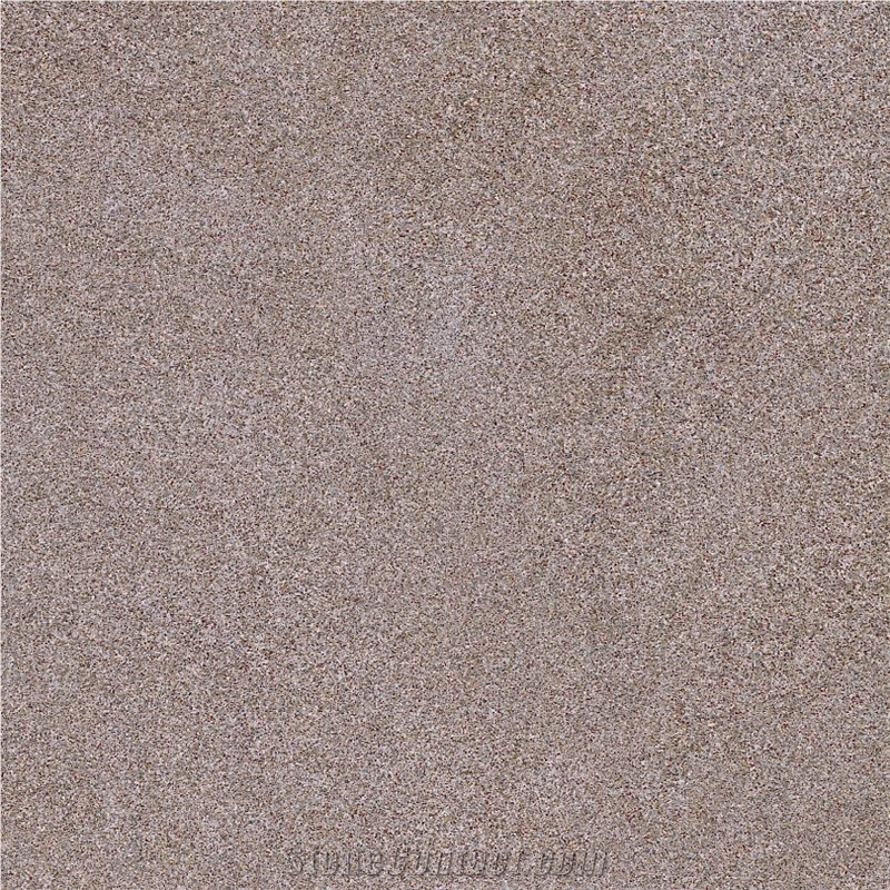 Arenisca Nuria Brown F Tile