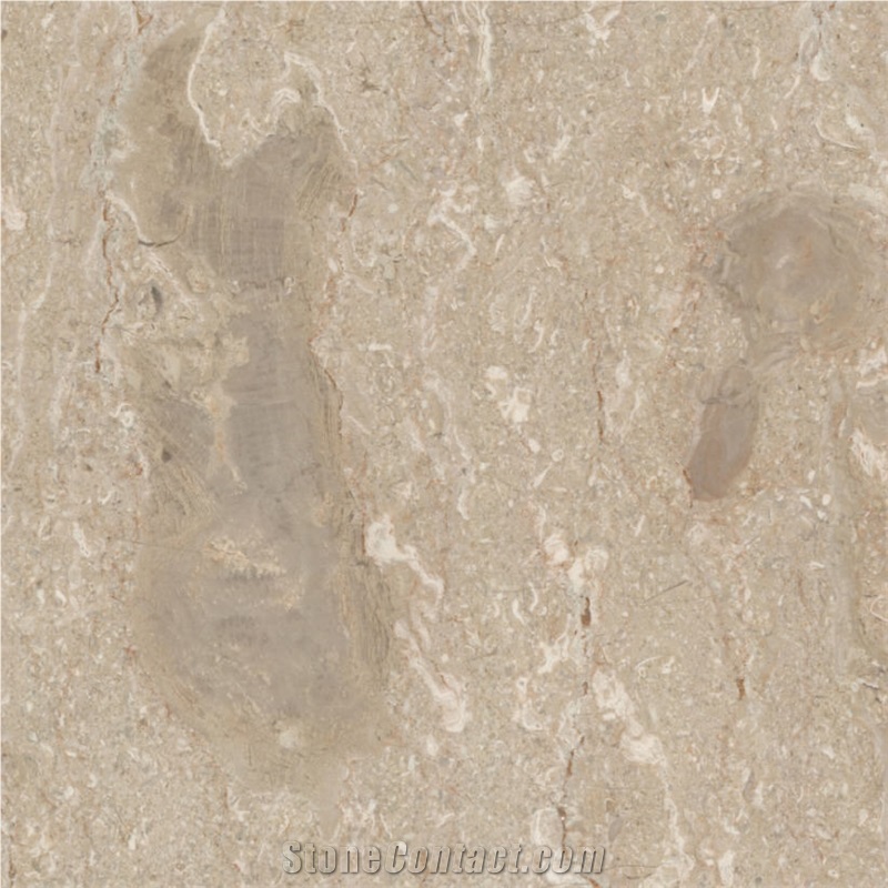 Arsa Marble Tile