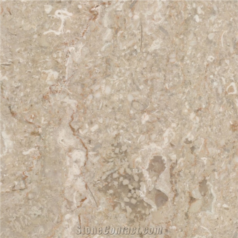 Arsa Marble Tile