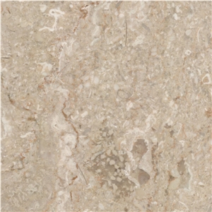 Arsa Marble Tile