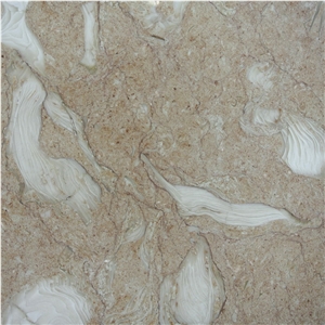 Art Fossil Limestone