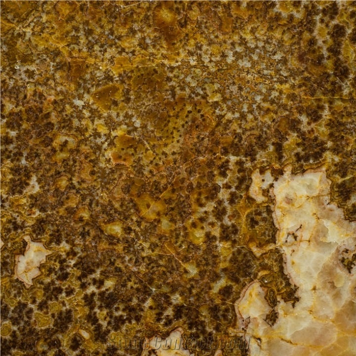 Asena Onyx importance=