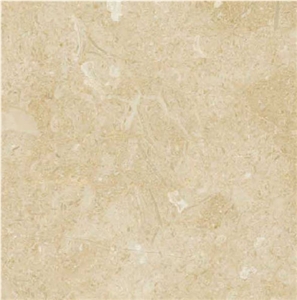 Asenka Rise Dark Marble