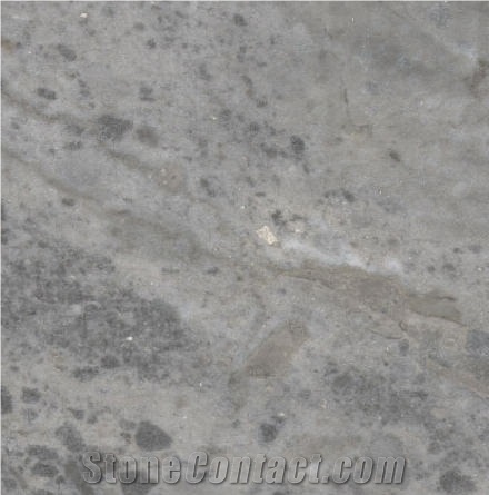 Ash Grey Marble importance=