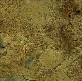 Ashok Gold Slate