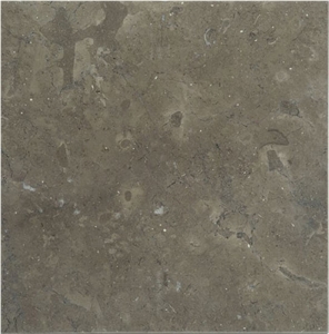 Avallon Limestone